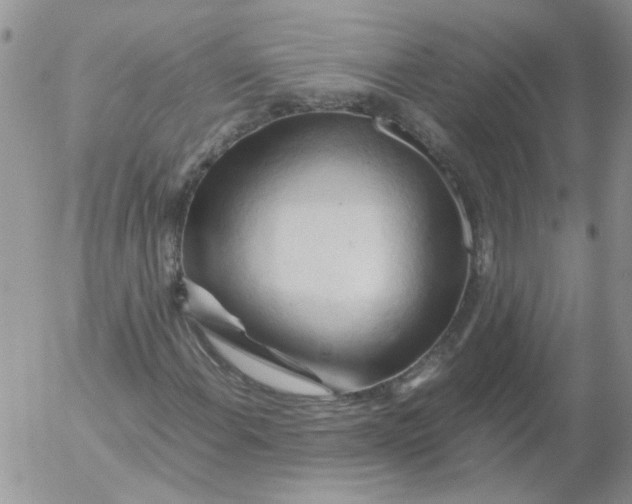 X0000053091108200508012025