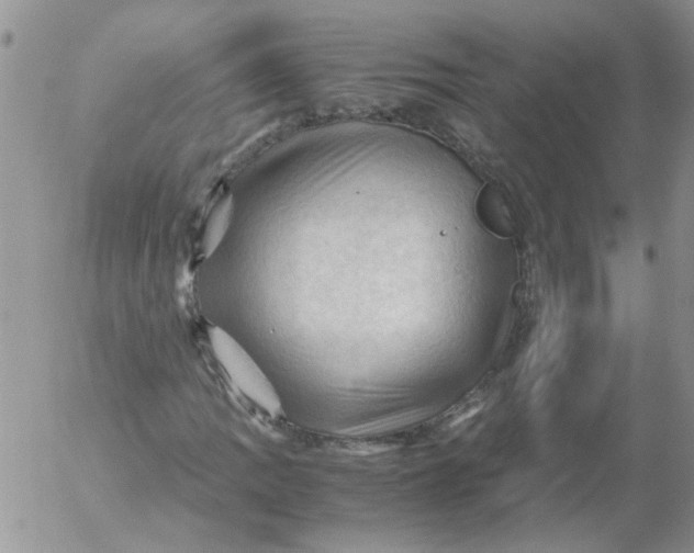 X0000053091109200508012025