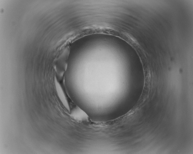 X0000053091110200508012025