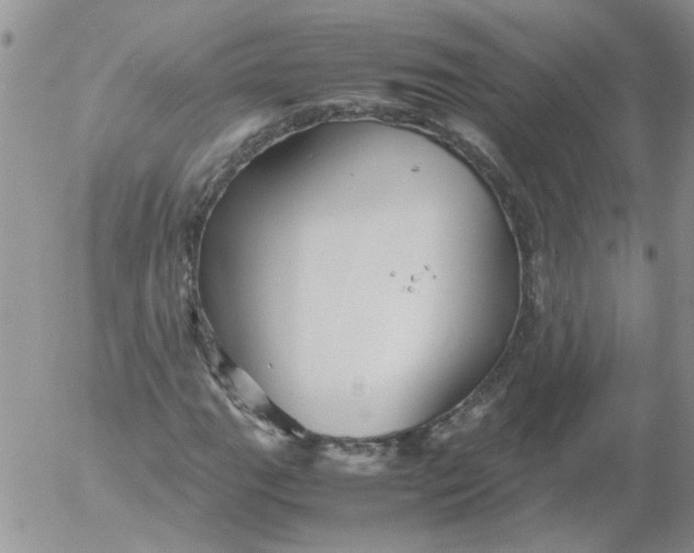 X0000053091111200508012025