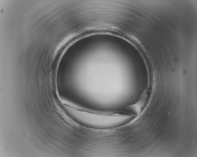 X0000053091114200508012025