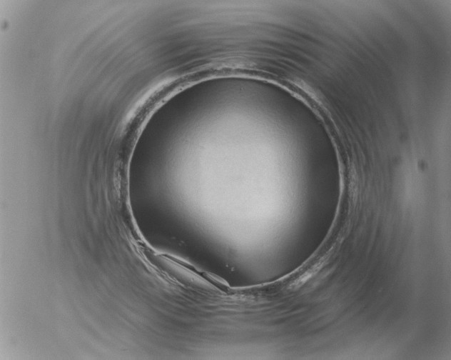 X0000053091115200508012025