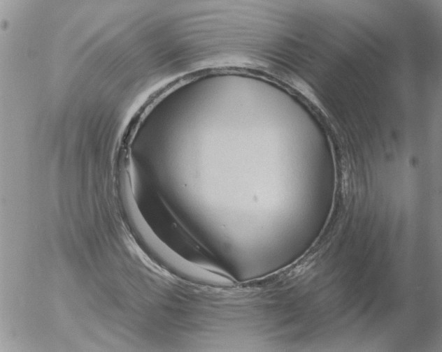 X0000053091116200508012025