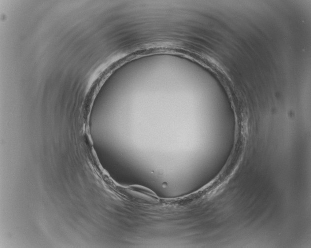 X0000053091117200508012025