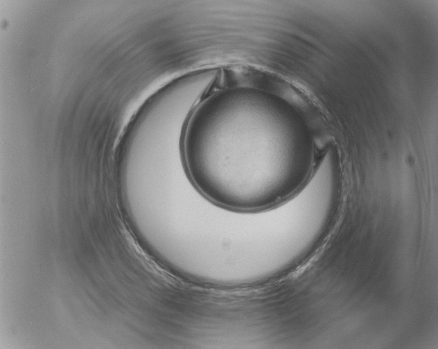 X0000053091118200508012025