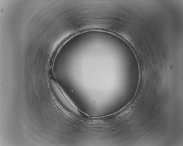 X0000053091119200508012025