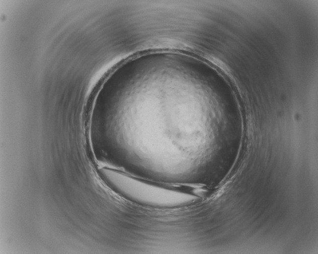 X0000053091120200508012025