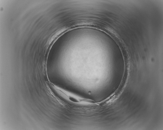 X0000053091121200508012025