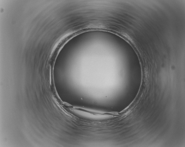 X0000053091123200508012025