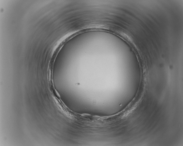 X0000053091125200508012025