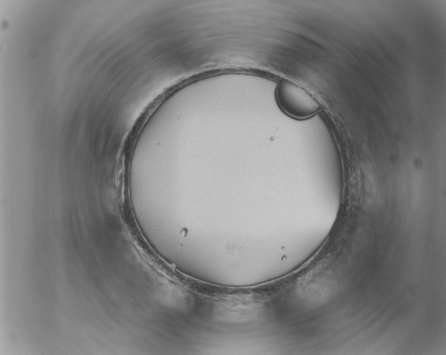 X0000053091126200508012025