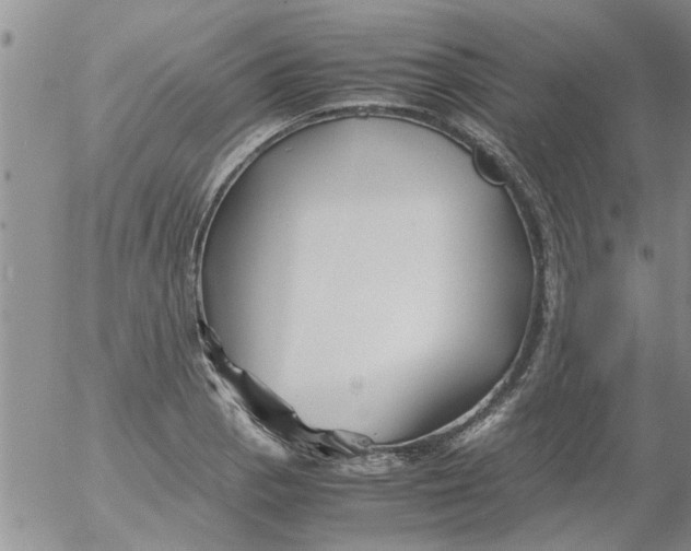 X0000053091129200508012025