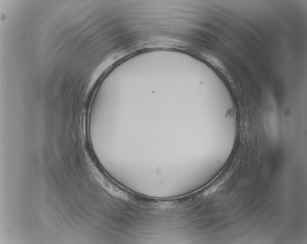 X0000053091130200508012025