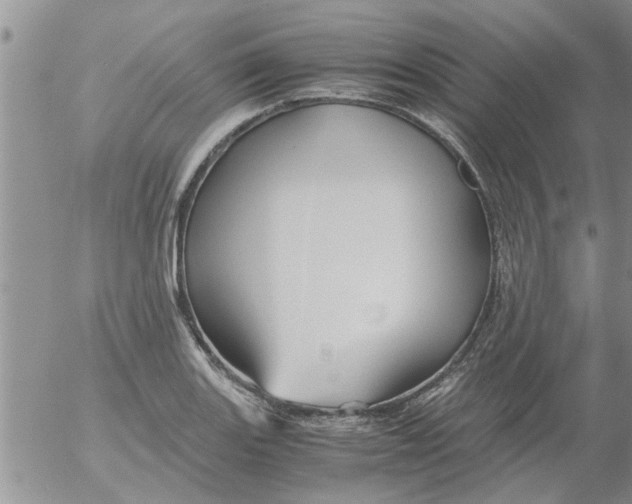 X0000053091131200508012025