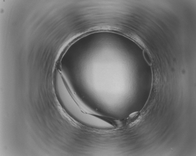 X0000053091132200508012025