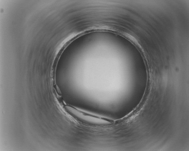 X0000053091133200508012025