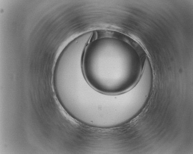 X0000053091136200508012025