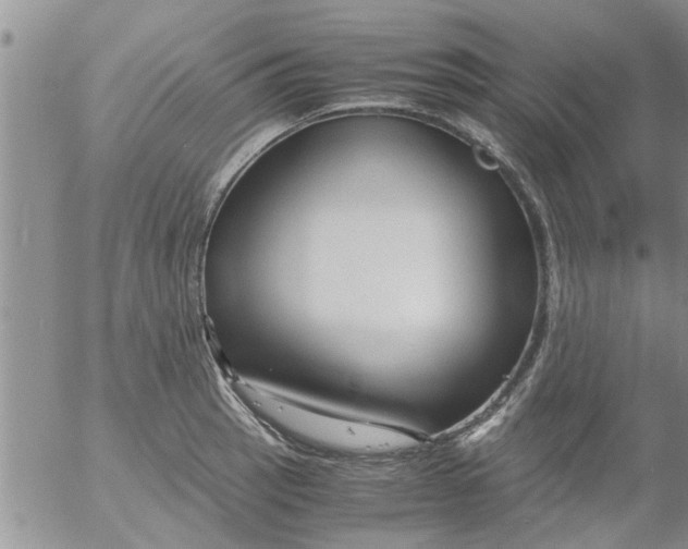 X0000053091137200508012025