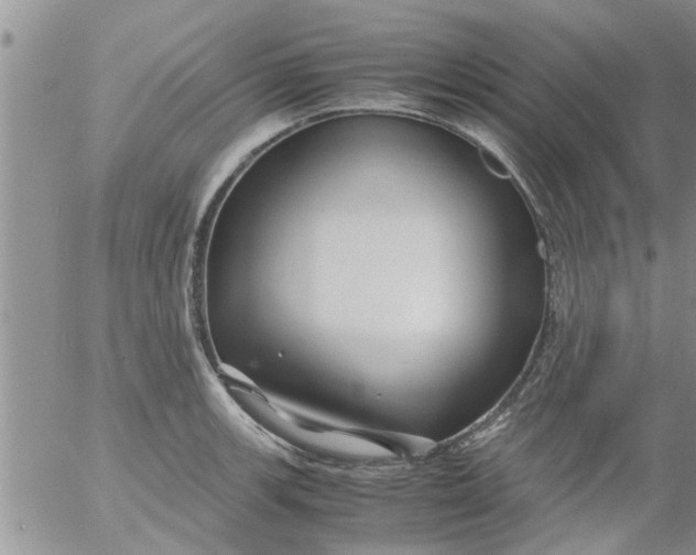 X0000053091139200508012025