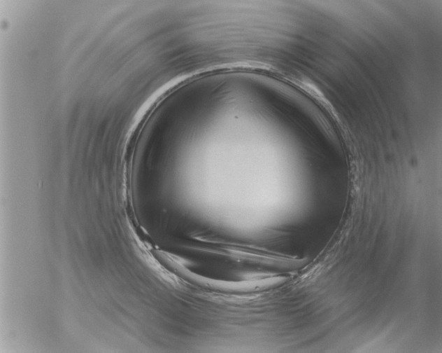 X0000053091140200508012025