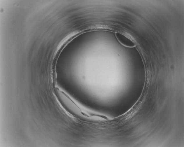 X0000053091141200508012025