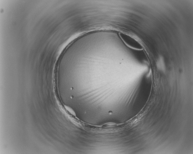 X0000053091142200508012025