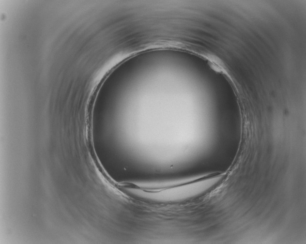 X0000053091143200508012025