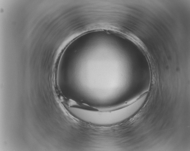 X0000053091144200508012026