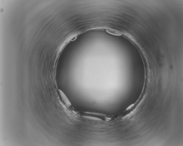 X0000053091145200508012026