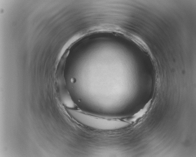 X0000053091146200508012026