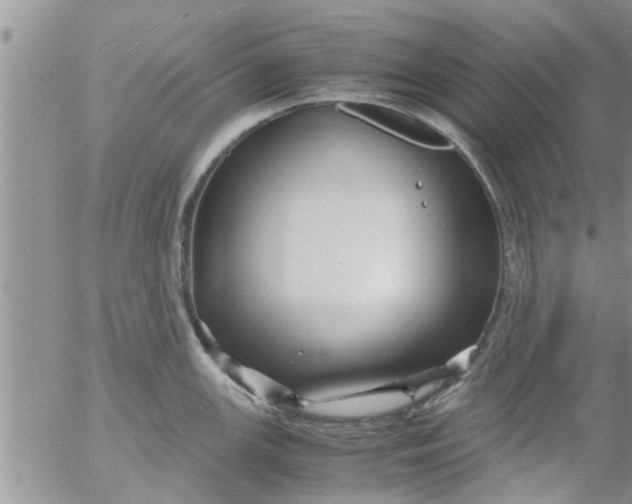 X0000053091147200508012026