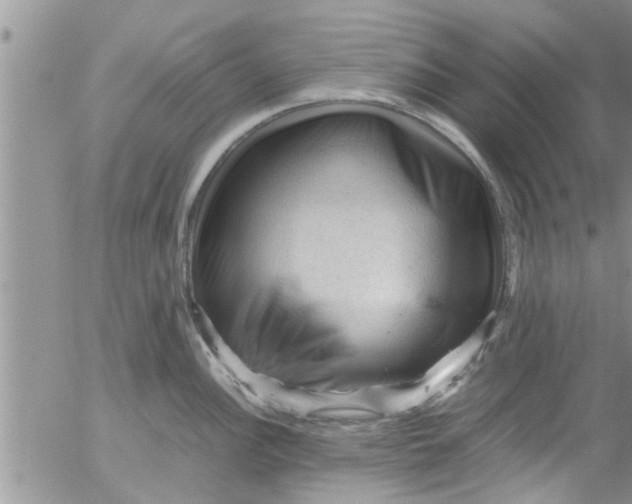 X0000053091148200508012026