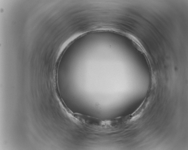 X0000053091149200508012026