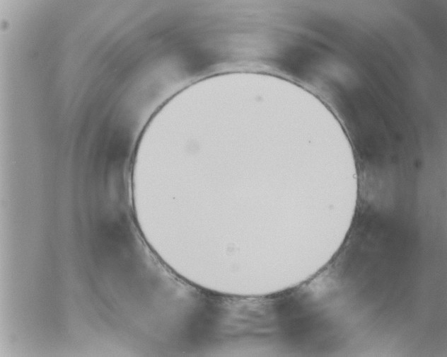 X0000053091150200508012026