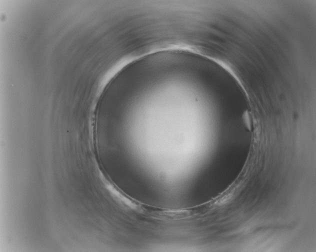 X0000053091151200508012026