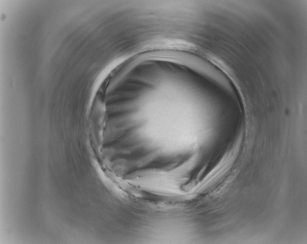 X0000053091152200508012026