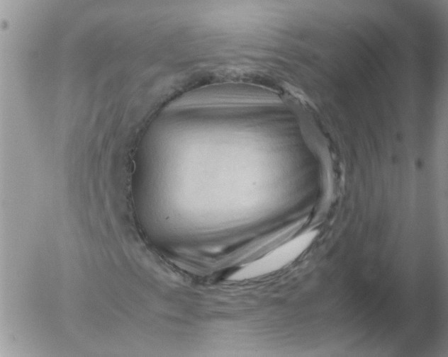 X0000053091153200508012025