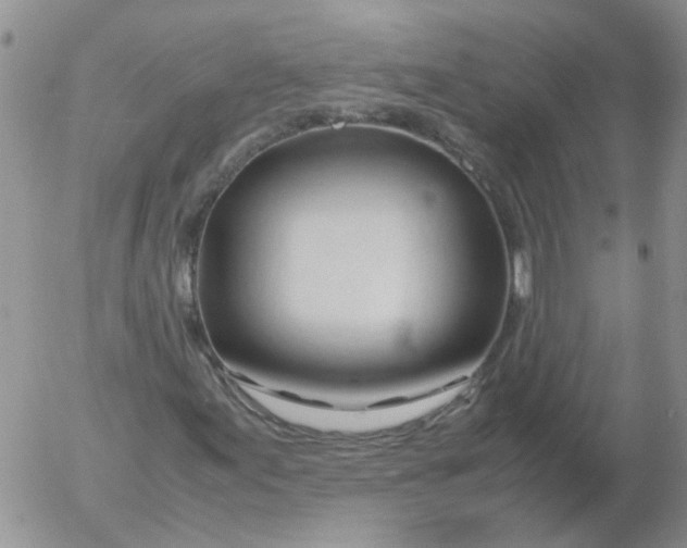 X0000053091155200508012025