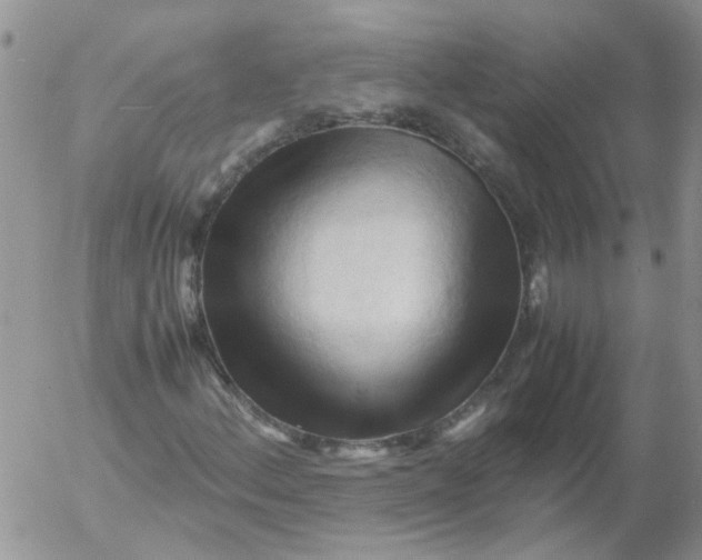 X0000053091156200508012025