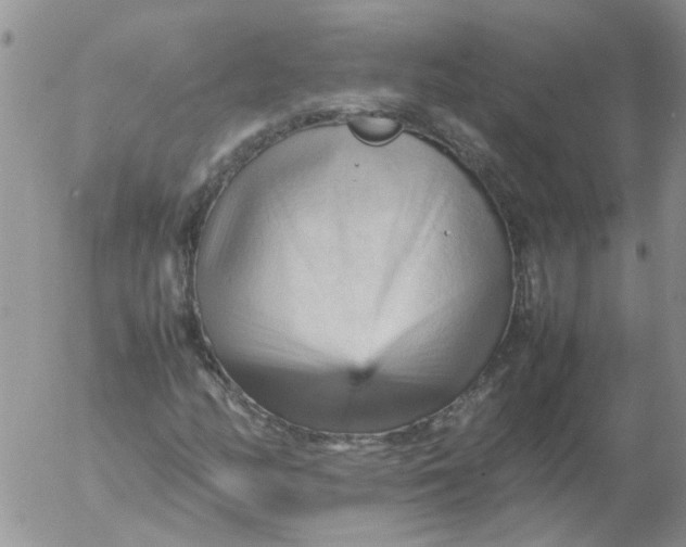 X0000053091158200508012025