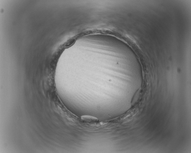 X0000053091159200508012025