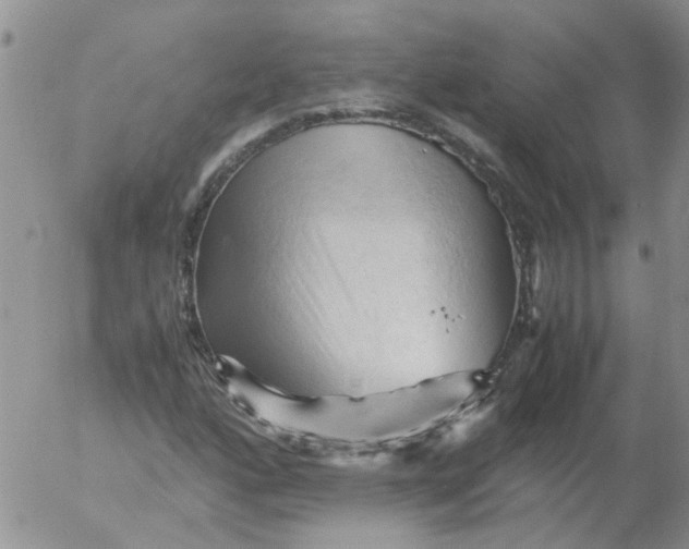 X0000053091160200508012025