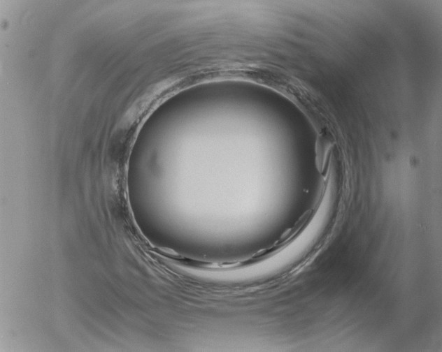 X0000053091161200508012025