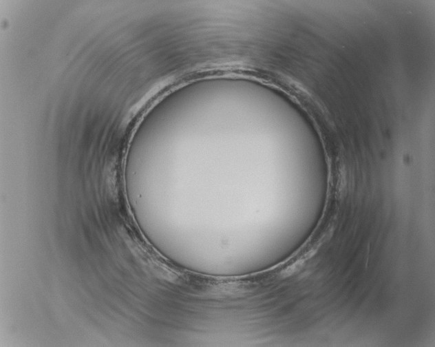 X0000053091162200508012025