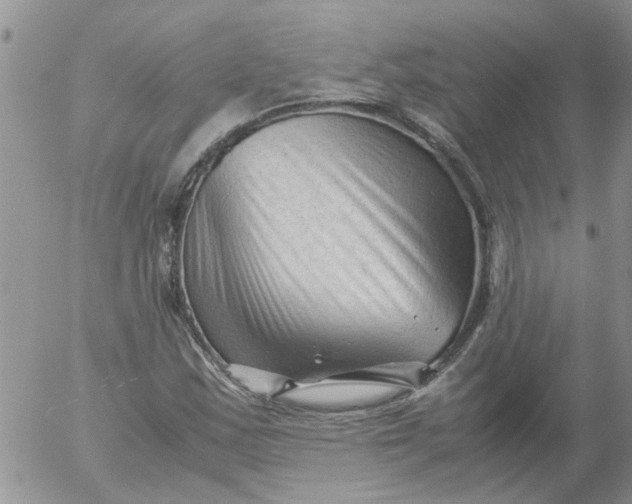 X0000053091163200508012025