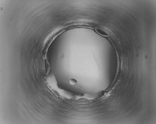 X0000053091164200508012025