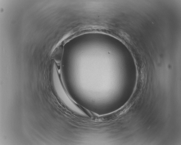 X0000053091165200508012025