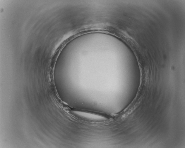 X0000053091166200508012025