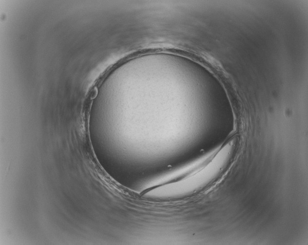 X0000053091167200508012025