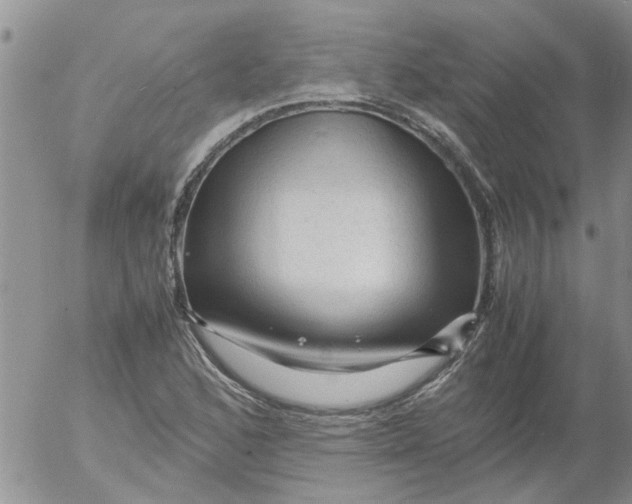 X0000053091168200508012025